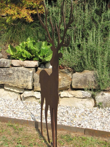 Edelrost Hirsch mit großem Geweih
