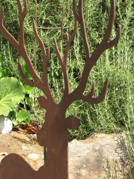 Edelrost Hirsch mit großem Geweih