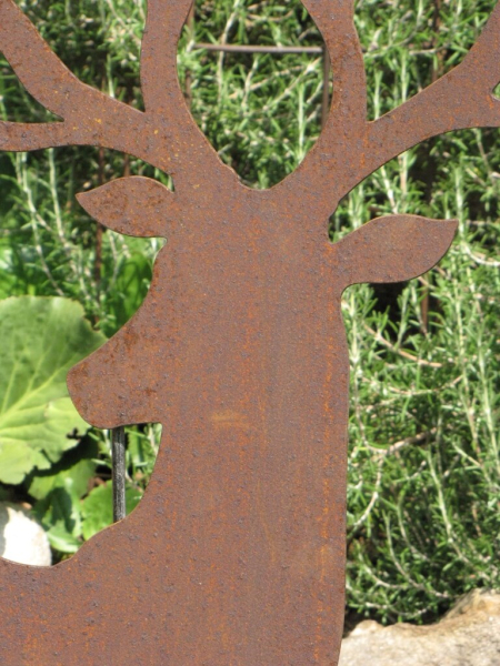 Edelrost Hirsch mit großem Geweih