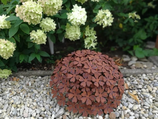Edelrost Hortensie