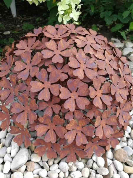 Edelrost Hortensie