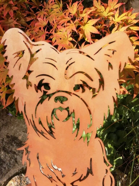 Edelrost Hund Bello