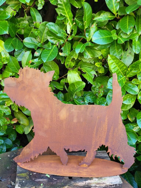 Edelrost Hund Westie, Berti