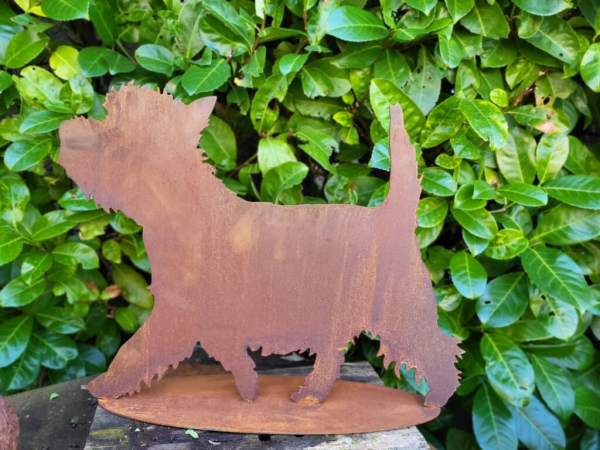 Edelrost Hund Westie, Berti