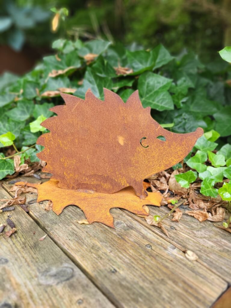 Edelrost Igel auf Ahornblatt