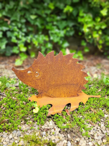 Edelrost Igel auf Ahornblatt
