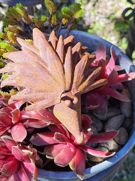 Edelrost Igel Spitzi mit Edelstahlkugel