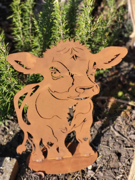 Edelrost Kalb Fiona, auf Platte