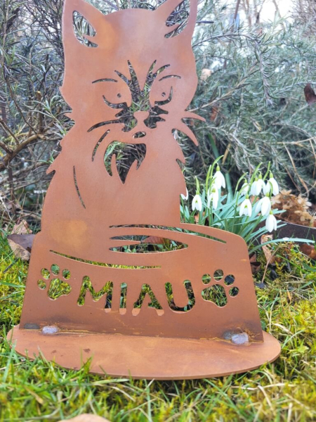 Edelrost Kätzchen mit Napf