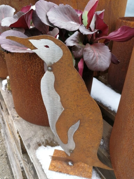 Edelrost Kaiserpinguin