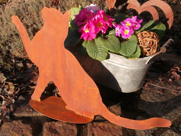 Edelrost Katze Simba, spielend