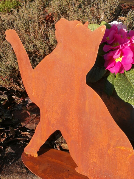 Edelrost Katze Simba, spielend