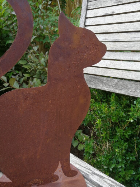 Edelrost Katze Sira