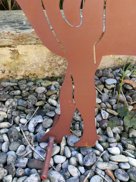 Edelrost Kuh Mollie, auf Querstange