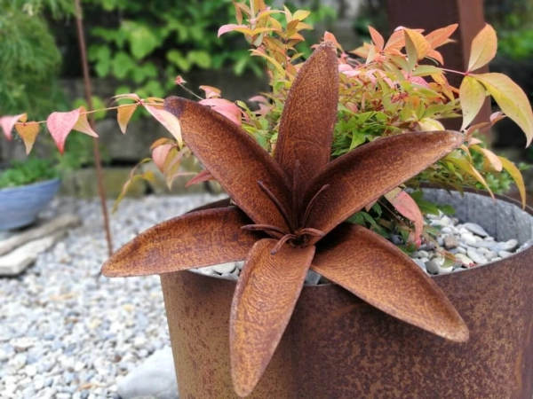 Edelrost Blume Lilie