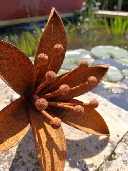 Edelrost Blume Madonnenlilie