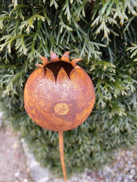 Edelrost Topfstecker Mohnkapsel, groß