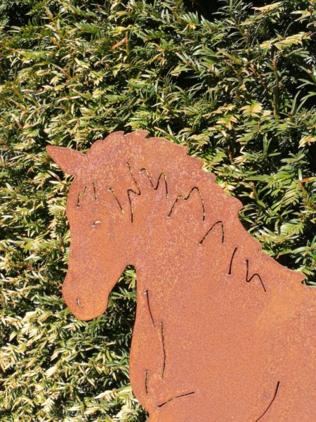 Edelrost Pferd Artus