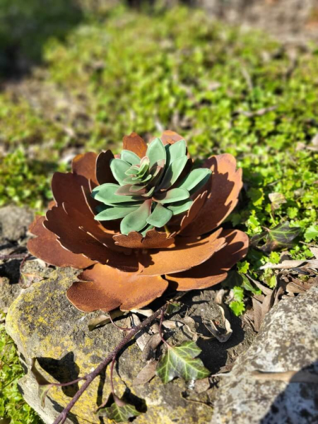 Edelrost filigrane Pfingstrose
