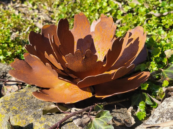 Edelrost filigrane Pfingstrose