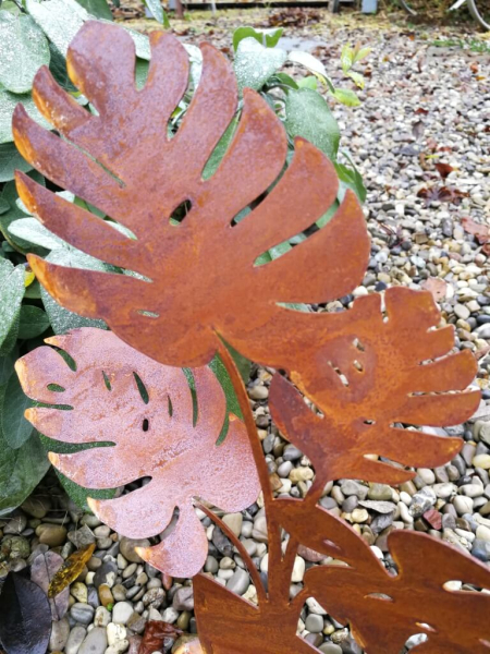 Edelrost Philodendron auf Platte