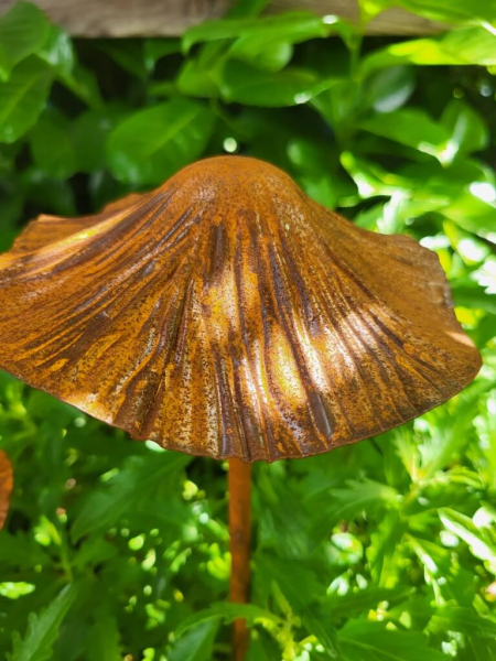 Edelrost 3D Pilz zum Stecken