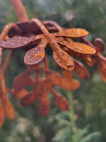 Edelrost Regenmesser 3 Blüten, filigran