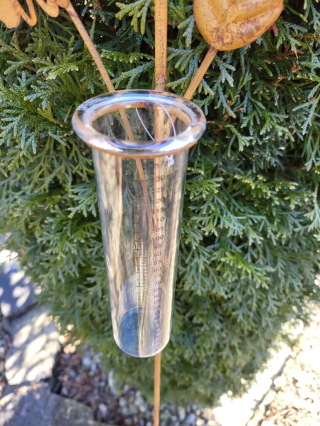 Edelrost Regenmesser Ameise