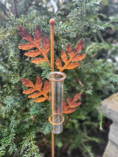 Edelrost Regenmesser Farn