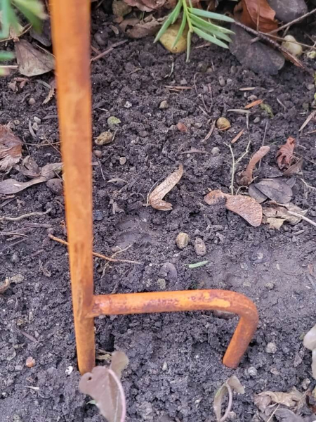 Edelrost Regenmesser 3 Blüten, filigran