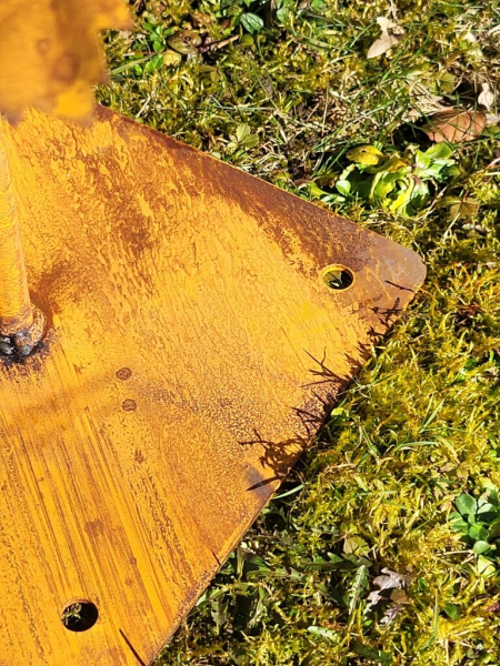 Edelrost Rose Bonica auf Platte