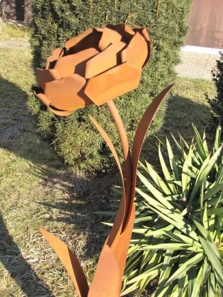 Edelrost Rose Bonica auf Platte