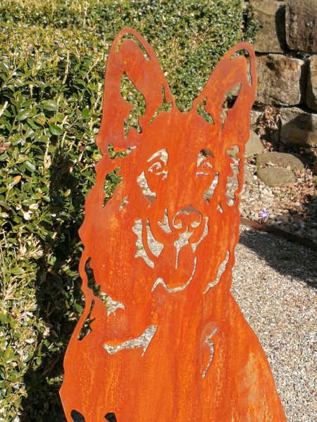 Edelrost Schäferhund
