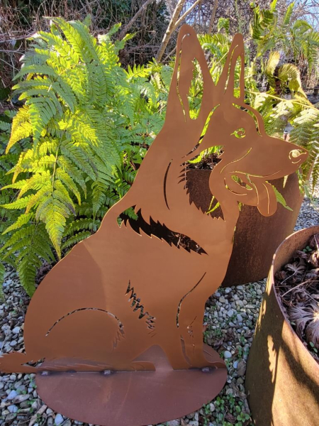 Edelrost Schäferhund Max