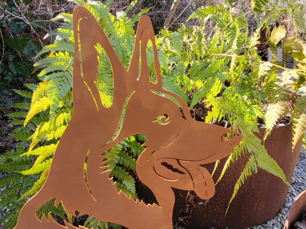 Edelrost Schäferhund Max