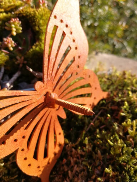 Edelrost Schmetterling zum Schrauben, gepunktete Flügel