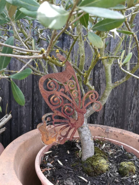 Edelrost Schmetterling Fabienne mit Kringel