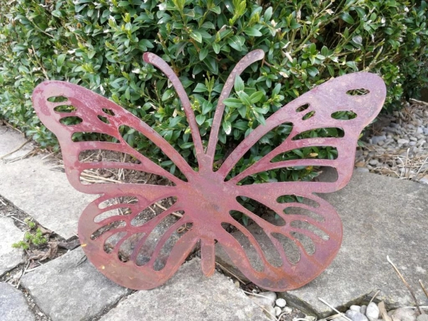 Edelrost Schmetterling Anette mit Streifen