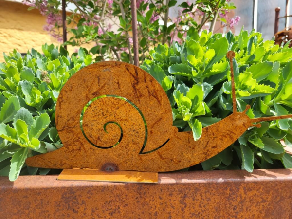 Edelrost Schnecke auf Platte