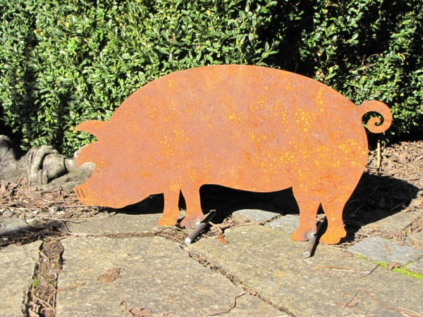 Edelrost Schwein