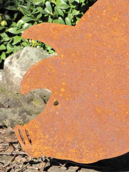 Edelrost Schwein