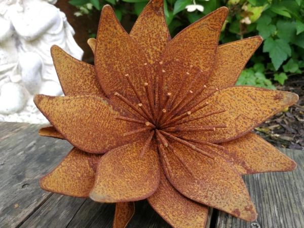 Edelrost Seerose, abstrakt