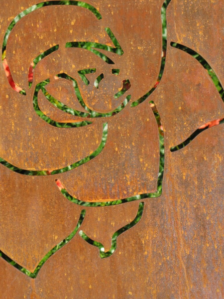 Edelrost Sichtschutzwand Rose