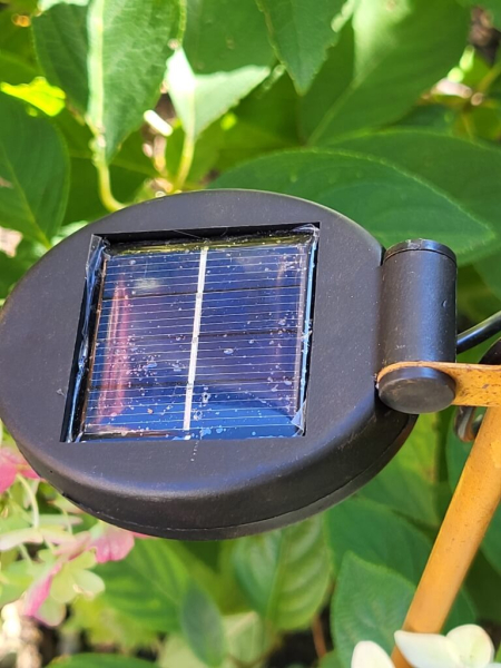 Edelrost Solar Gartenstecker Blume Paloma, kelchförmig