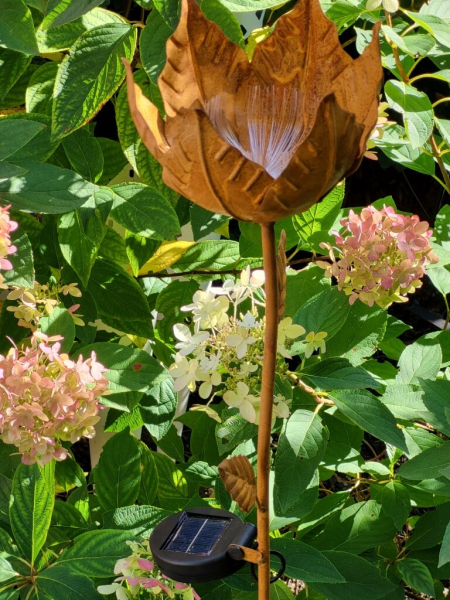 Edelrost Solar Gartenstecker Blume Paloma, kelchförmig