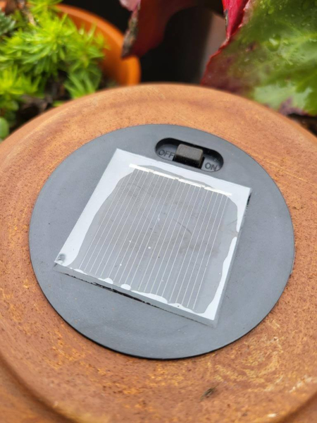 Edelrost LED Solarlaterne Pusteblume, Schmetterling