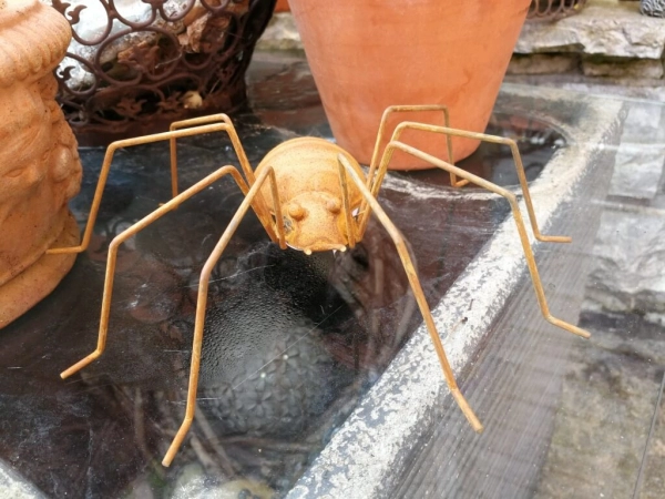 Edelrost Spinne Chuck