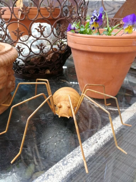 Edelrost Spinne Chuck