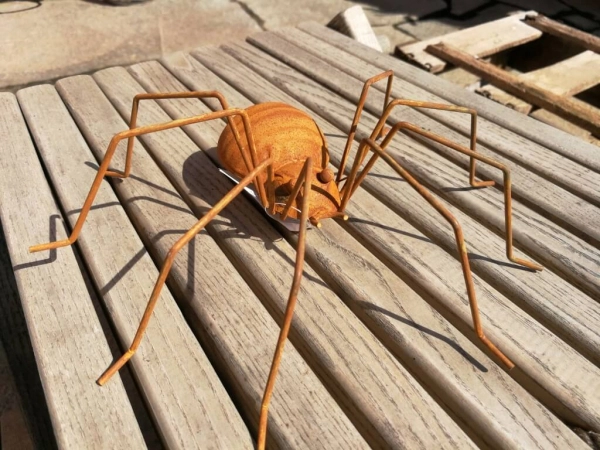 Edelrost Spinne Chuck