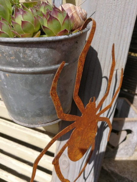 Edelrost Spinne zum Einhängen